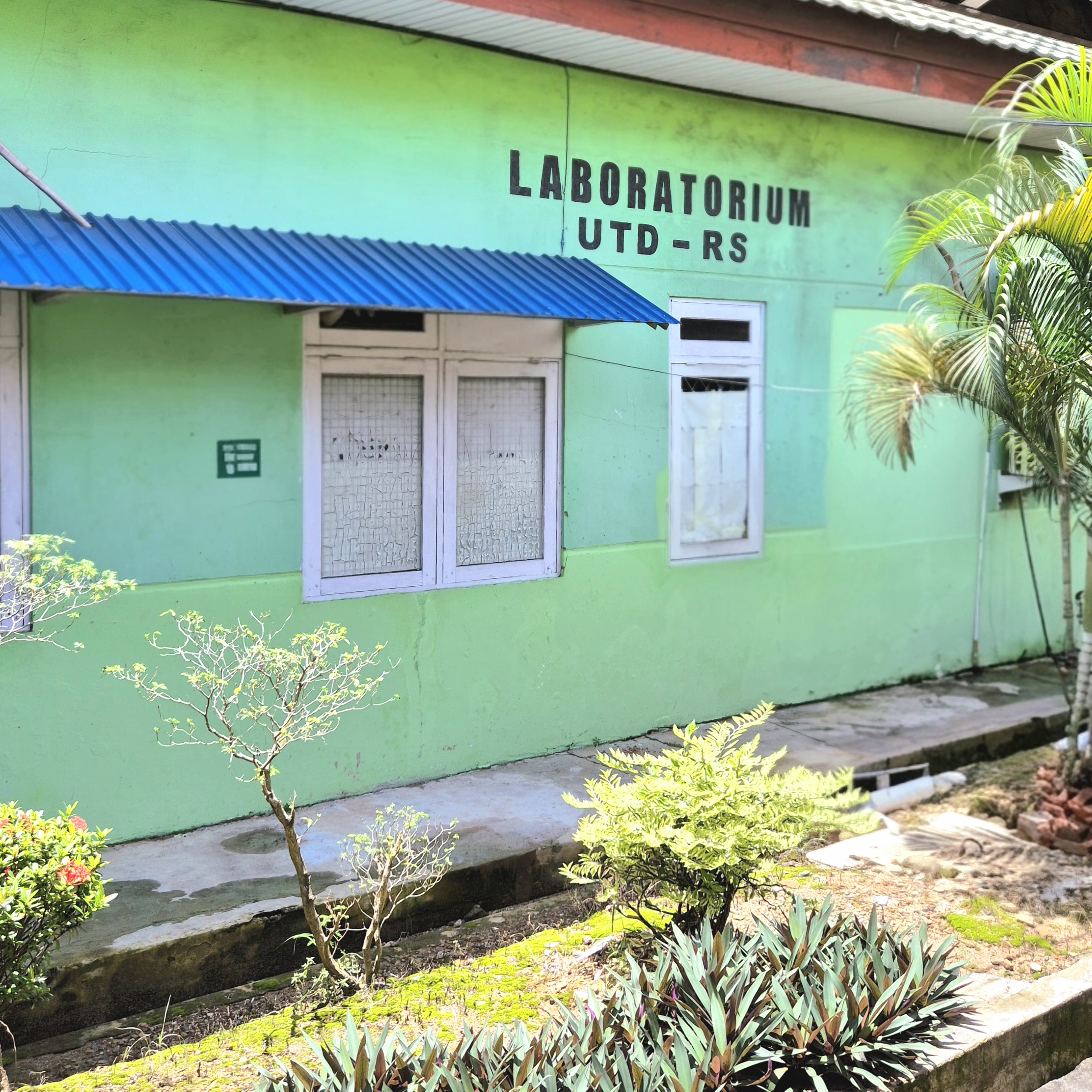 Radiologi